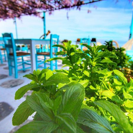 Benitsa Beach Hotel Achílleion Eksteriør bilde